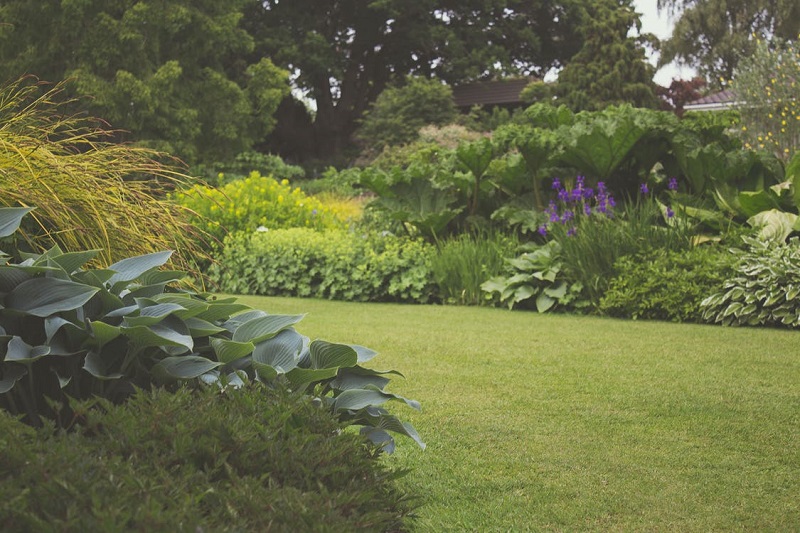 garden-flower-beds-shrubs