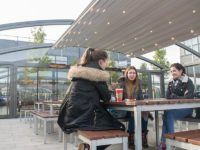 school shelter canopies