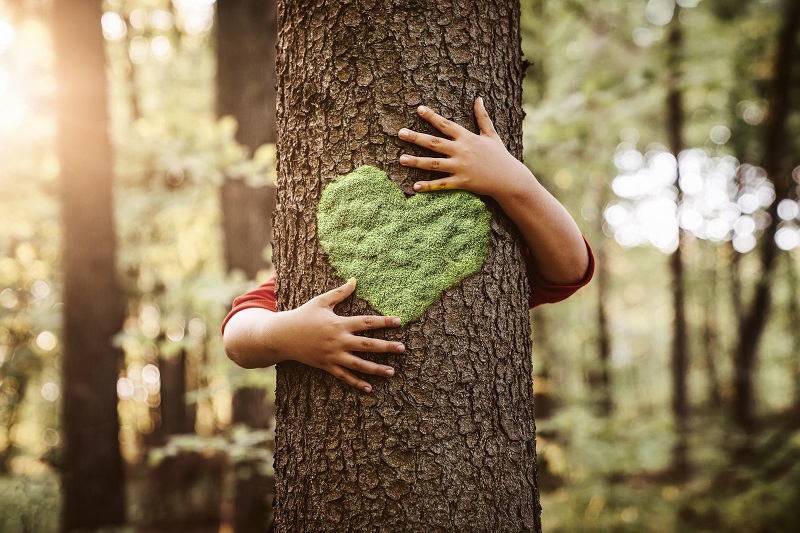 A child's hands hugging tree with grass love heart