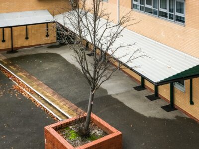 A drone shot of a school playground canopy with a tree in the centre